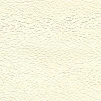 CONSUL-Latte-1515-Y15R